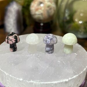 Mini crystal mushroom bundle